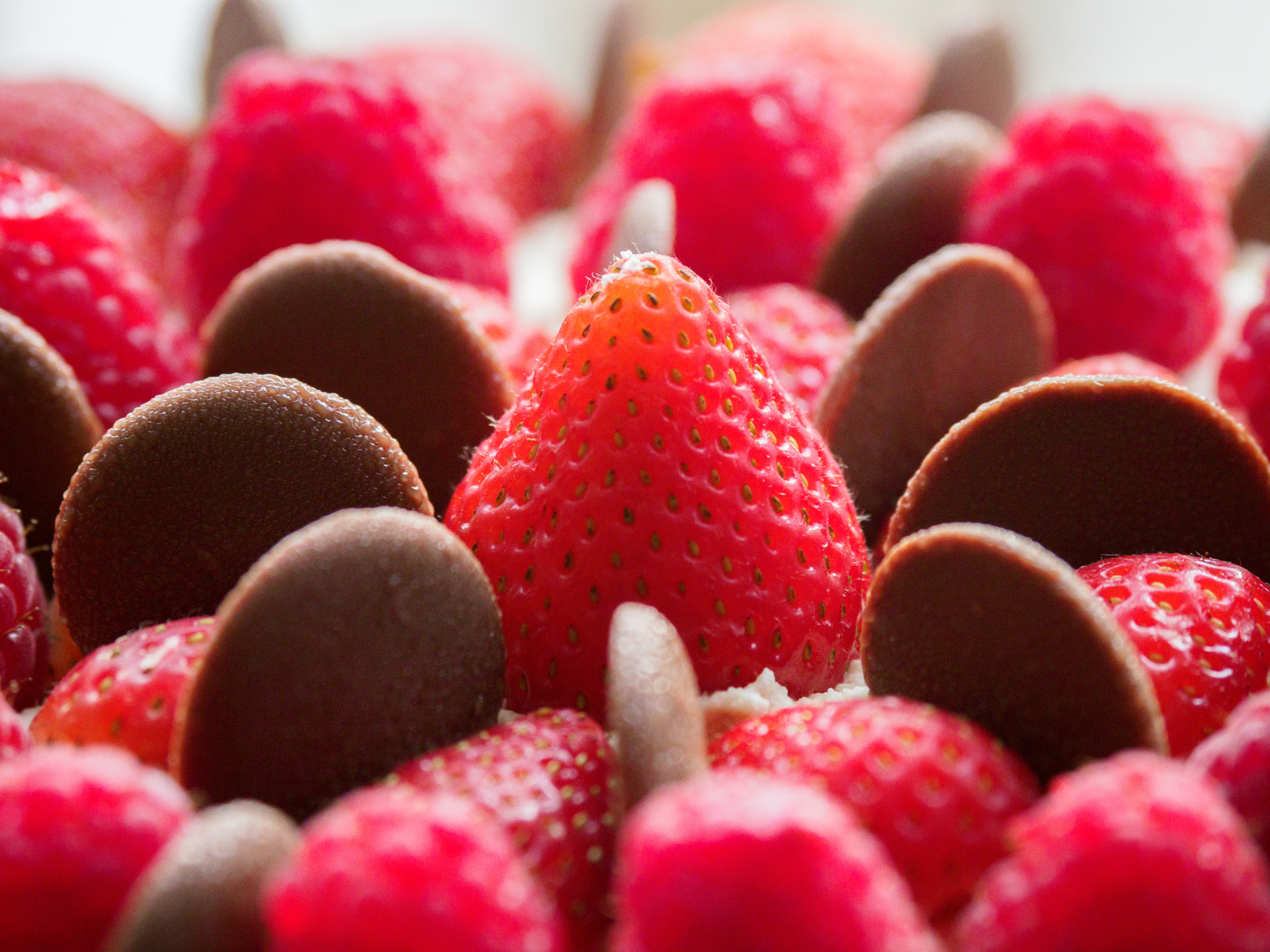 Raspberries and strawberries topping a cheesecake 