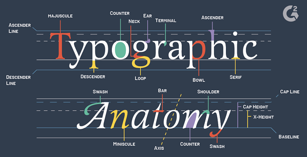 Anatomy of Typography 